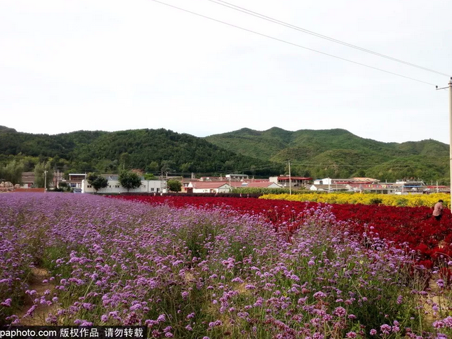 国庆何必远行！京郊这些绝美的旅游地才是国庆最佳选择！北京人必看！